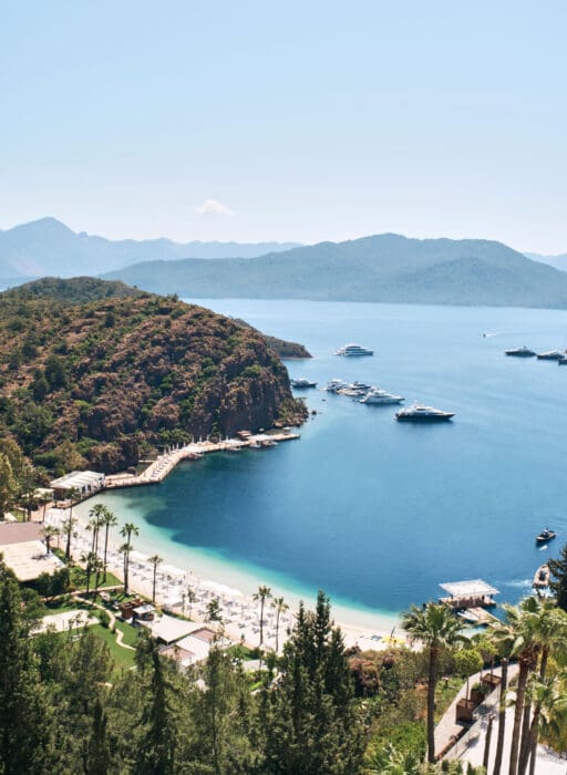D Maris Bay
