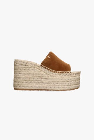 Gianvito Rossi Suede Platform Wedges