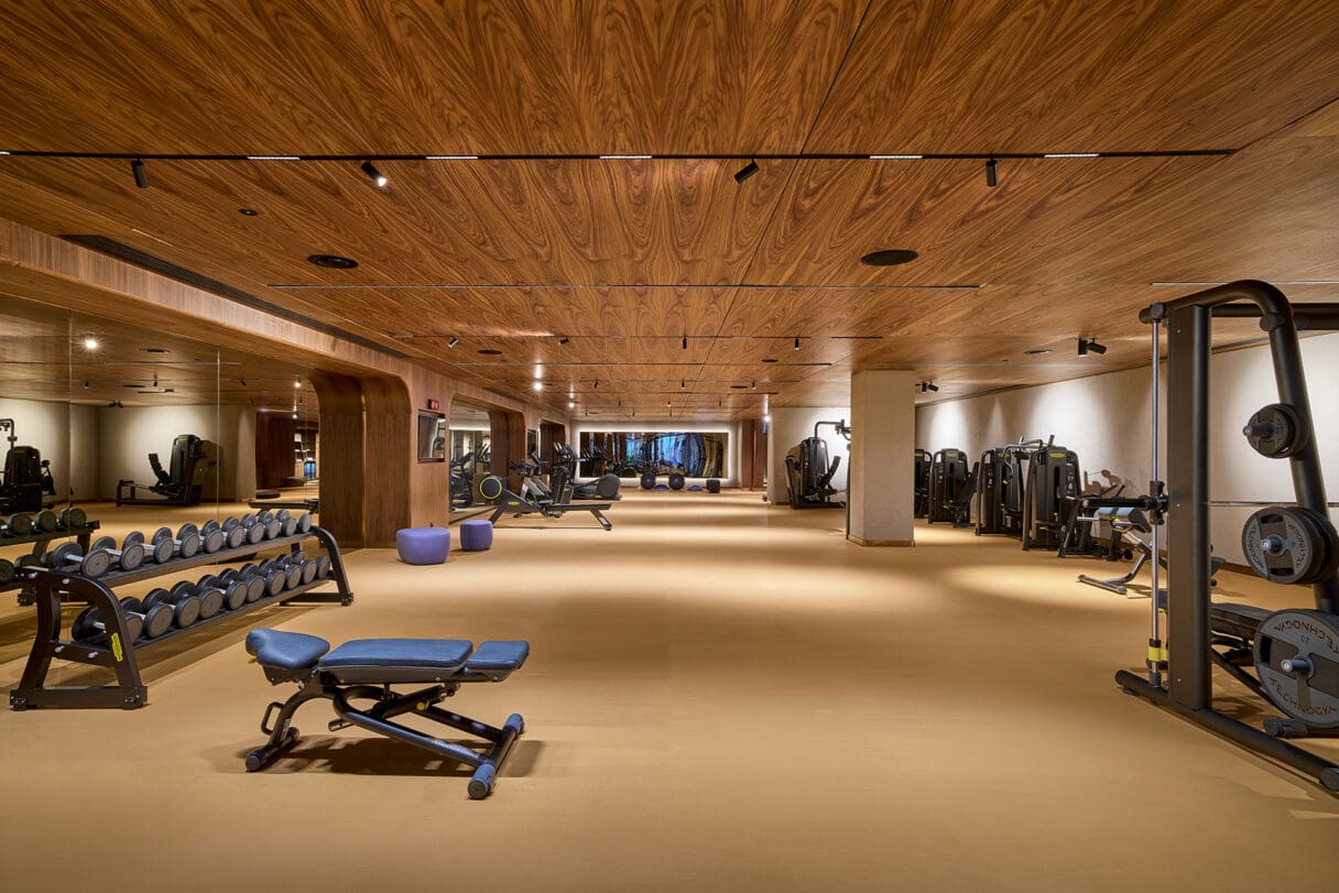 xo cape arnna gym