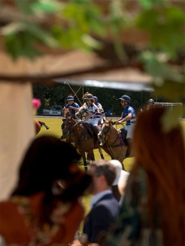 Ham Polo Club, Richmond