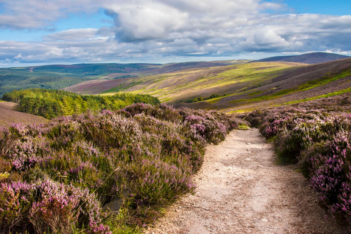 Cairngorms National Park, Scotland